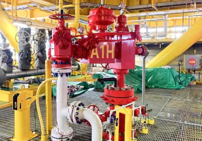 QG刮刮乐井口产品助力新里程!亚洲第一深水导管架平台建设(图2)